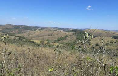 Imagem 8: Terreno 107 Hectares em São Tiago Ótimo Preço