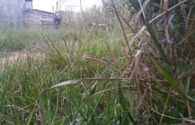 Imagem 7: Terreno à venda, 160 m² por R$ 165.000,00 - Bosque Santa Rosa - Itu/SP