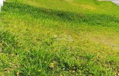 Imagem: O terreno possui 495m² de Área e está localizado em Arujázinho