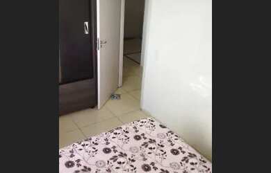Imagem 3: Aluga-se apartamento. 38m² de Área, 1 Banheiroe2 Dormitórios
