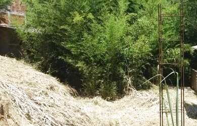 Imagem 7: Área à venda em Morada das Águias, Itaipuaçú RJ