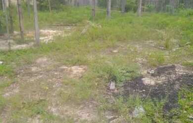 Imagem 2: Terreno no Bairro Mararu. 