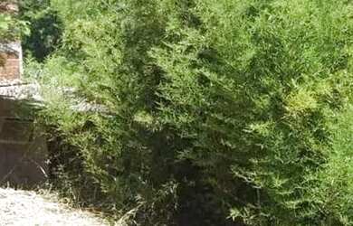 Imagem 2: Área à venda em Morada das Águias, Itaipuaçú RJ