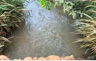 Imagem: A fazenda está localizado em Uberlândia, MG à venda por