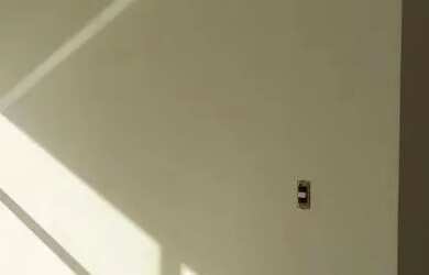 Imagem 10: Apartamento 3 Quartos sendo 1 Suite, Bairro Saco Grande