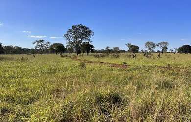 Imagem 2: Fazenda em campina verde 90 lavoura serve