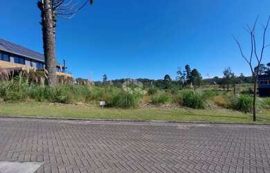 Imagem 11: Terreno à Venda no Loteamento Terras Altas, Gramado