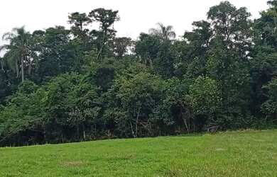 Imagem 13: Terrenos para venda tem 1000 metros quadrados com 1 quarto em Cristal...