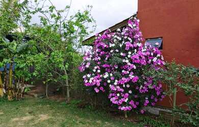 Imagem 6: Casa para Venda em Imbituba, Araçatuba, 4 dormitórios, 1 suíte, 3 banheiros,...