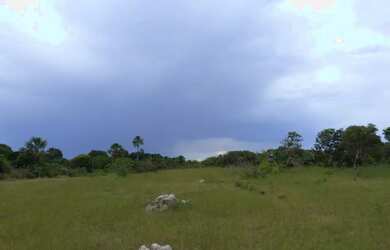 Imagem 13: Fazenda de 226 Hectares em Formoso MG Escriturada