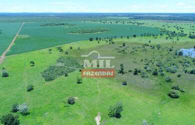 Imagem 2: Área Total 1.500 Alqueires 7.260 Há Região vale do Araguaia - TO