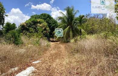 Imagem 2: Sítio, 11 m² - venda por R$ 330.000,00 ou aluguel por R$ 1.500,00/mês...