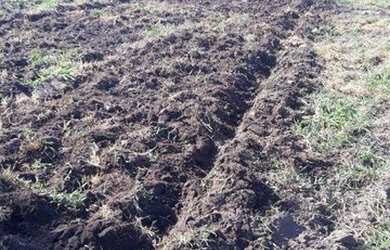 Imagem 7: Fazenda em Poconé à venda, 1060000 m² por R$ 1.600.000 - Zona Rural...