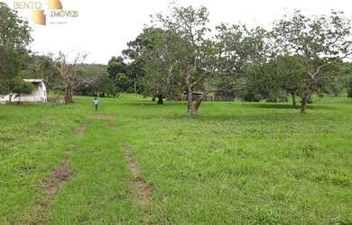 Imagem 2: Fazenda em Poconé à venda, 1060000 m² por R$ 1.600.000 - Zona Rural...