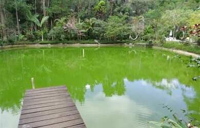 Imagem 6: Rural de 23000 metros quadrados no bairro Zona Rural com 15 quartos