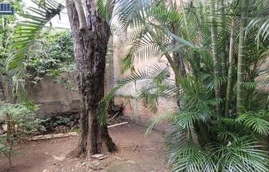 Imagem 1: Terreno à venda, 246 m² por R$ 850.000,00 - Alto da Lapa - São Paulo/SP