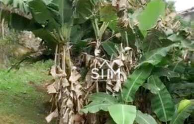 Imagem 9: Terreno à venda, 750 m² por R$ 780.000 - João Paulo - Florianópolis/SC