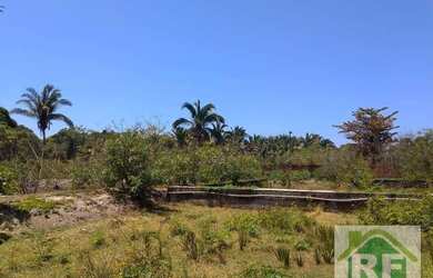 Imagem 11: Sítio, 10000 m² - venda por R$ 750.000,00 ou aluguel por R$ 3.000,00...