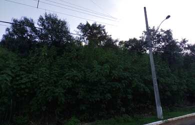 Imagem 8: Terreno à venda, 2100 m² por R$ 150.000 - Jardim L Ermitage - Juiz de...