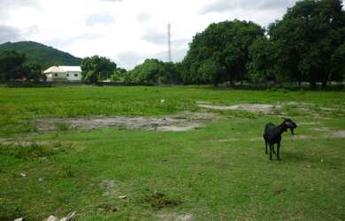 Imagem 6: TERRENO EM GUARATIBA COM 25.000m²