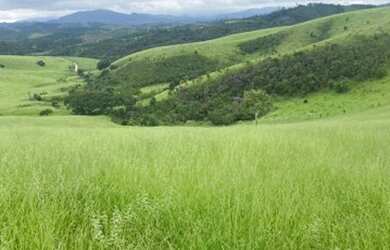 Imagem 14: Loteamento em Igaratá-SP/ 10.000m² por apenas 150mil à vista
