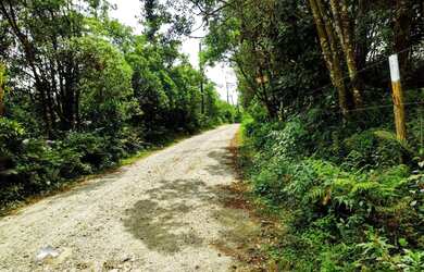 Imagem 9: Terreno à venda, 3000 m² por R$ 299.000,00 - Jardim das Garças - Santo...