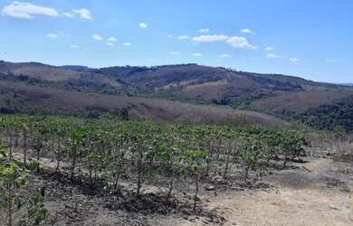 Imagem 4: Terreno 107 Hectares em São Tiago Ótimo Preço
