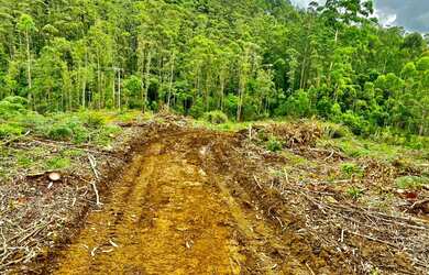 Imagem 11: Belíssimo sítio de 5.3 hectares em Urussanga