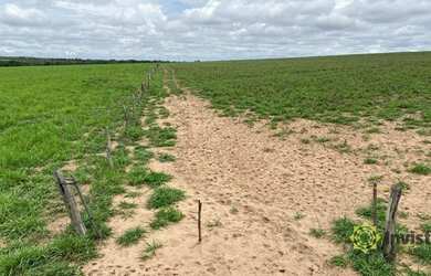 Imagem 4: Fazenda à venda, 7200000 m² por R$ 4.200.000,00 - Zona Rural - Pedro...