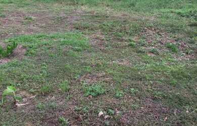 Imagem 1: Lote no vivenda verde. 