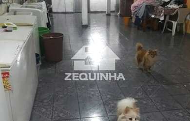 Imagem 1: Residencial - Padroeira. Churrasqueira, Área de serviço, 212m² de Áreae2...