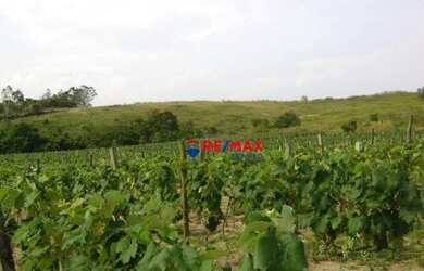 Imagem 9: Sítio à venda, 1351 m² por R$ 6.575.000,00 - Rural - Itupeva/SP