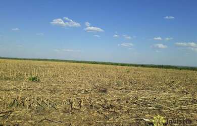 Imagem: A fazenda possui 48000000m² de Área e está localizado em