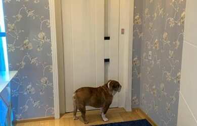 Imagem 7: Apartamento à venda, 300 m² por R$ 1.850.000,00 - Jardim - Santo André/SP