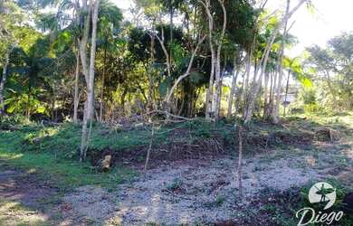 Imagem 9: Terreno à venda, 530 m² por R$ 280.000,00 - Siriú - Garopaba/SC