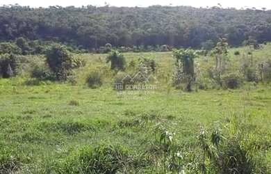 Imagem 10: Novo Cruzeiro - Fazenda - Zona Rural