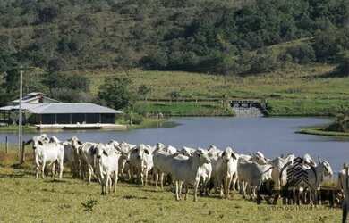 Imagem: A fazenda está localizado em Setor Perim, Goiânia à venda