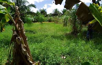 Imagem: O terreno possui 25m² de Área e está localizado em Pero