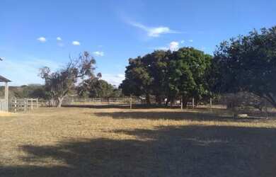 Imagem 2: Fazenda em Burtis MG a venda um oasis rural 33 alqueires