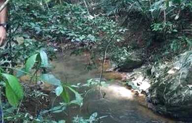 Imagem: A chácara possui 5.000m² de Área e está localizado em Jardim