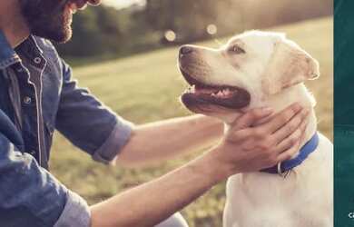 Imagem 7: HORTO FLORESTAL LANÇAMENTO APARTAMENTO 4 SUÍTES 154,5 M2 CONFORTO LAZER COMPLETO