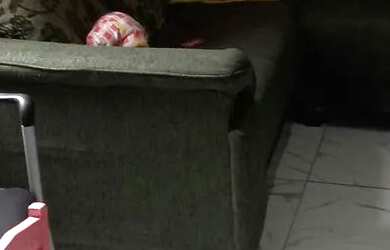 Imagem 2: Vendo ou troco por apartamento