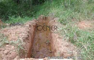 Imagem 8: 2449 - Ótima Fazendinha de 32 HA, limpa formada, em ótimo local com...