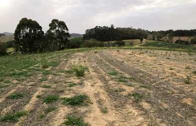 Imagem 3: Lote/Terreno para venda possui 500 metros quadrados em Nova Cerejeira...