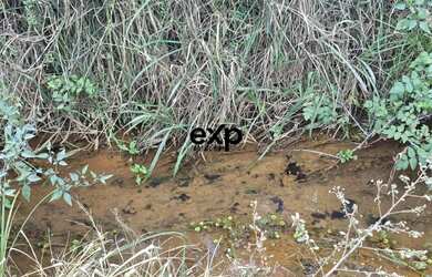 Imagem: O terreno possui 10.133m² de Área e está localizado em Agudos