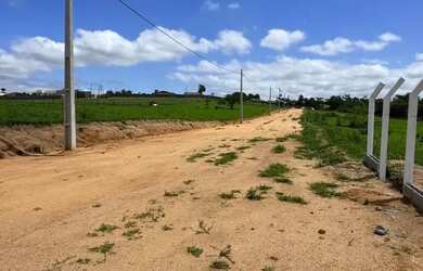 Imagem 8: Terrenos para venda tem 1000 metros quadrados com 1 quarto em Cristal...