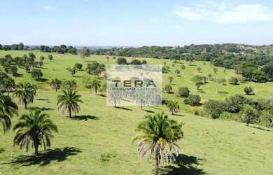 Imagem 2: Fazenda para Venda em Bela Vista de Goiás, Zona Rural