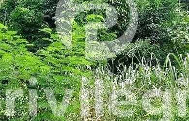 Imagem 12: Terreno à venda, Freguesia Jacarepaguá - RIO DE JANEIRO/RJ