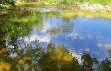 Imagem: A chácara possui 6000m² de Área e está localizado em Centro