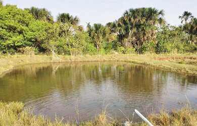 Imagem 3: Sítio 2,0 alqueires, muita água, entre Uberlândia e Monte Alegre